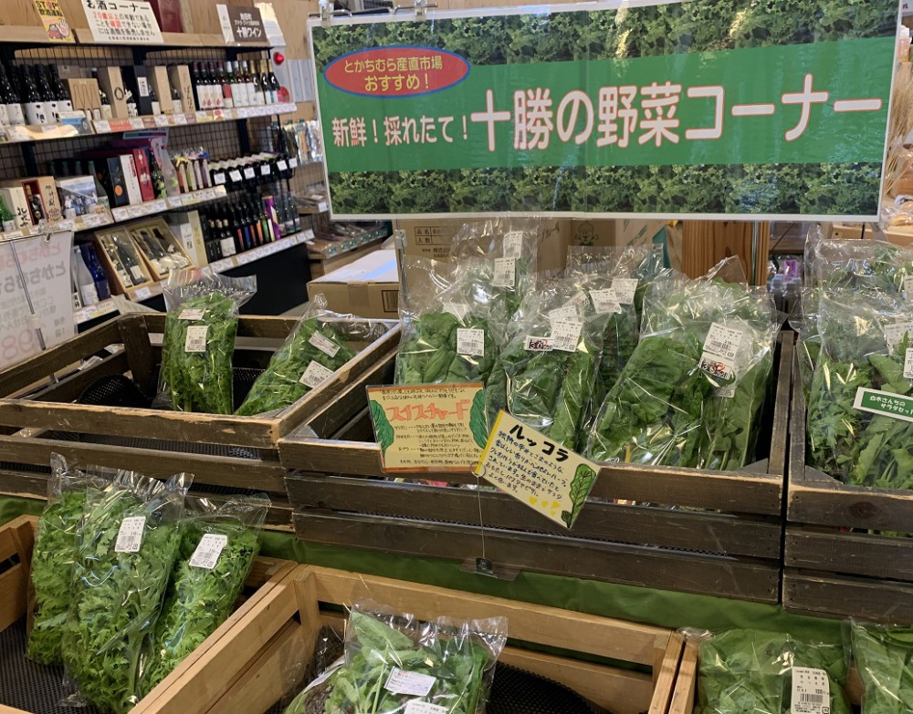☆6月4日☆とかちむらへ行こう!☆