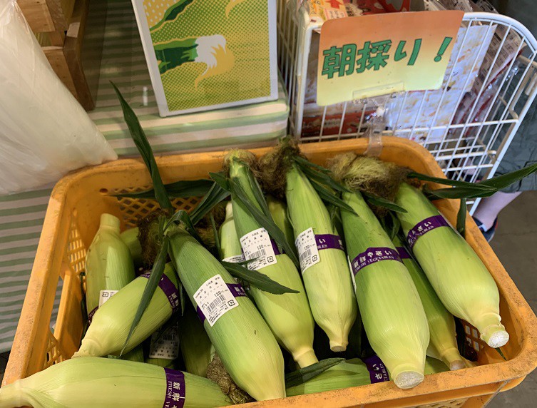 ☆8月6日☆とかちむらへ行こう!☆