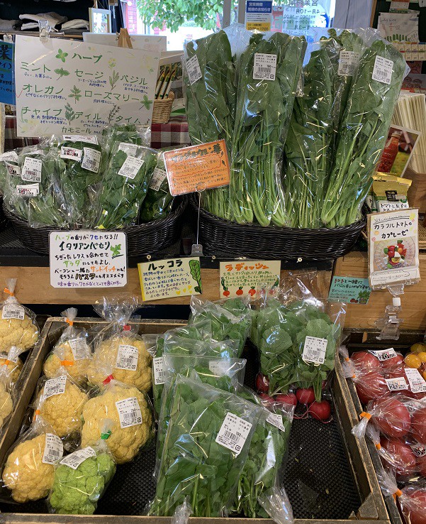 ☆10月1日☆とかちむらへ行こう!☆