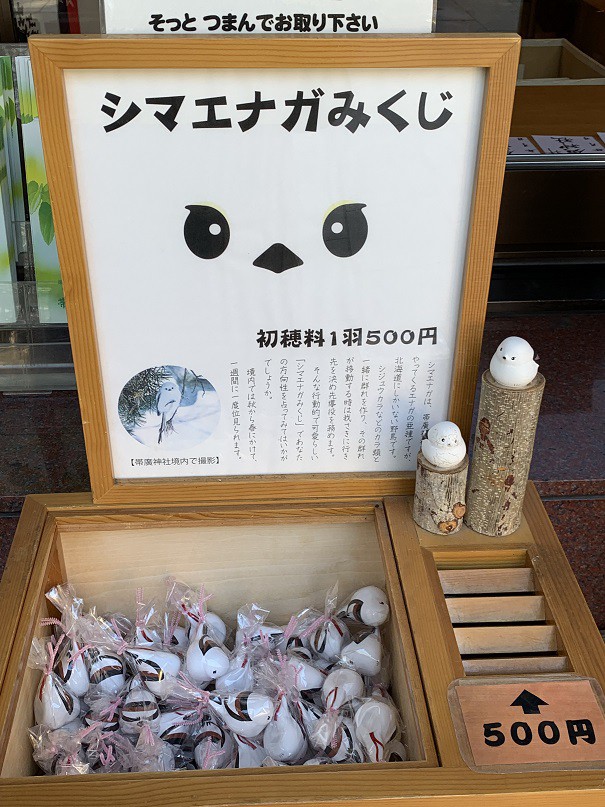 ☆10月21日☆帯広神社 七五三☆