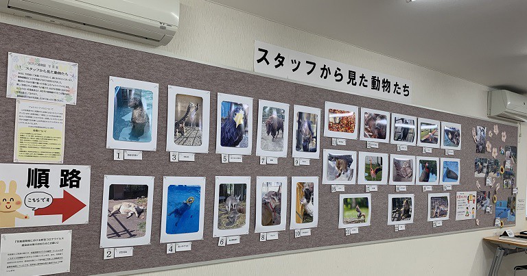 ☆1月6日☆おびひろ動物園☆