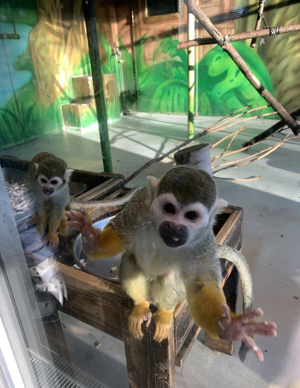 ☆1月6日☆おびひろ動物園☆