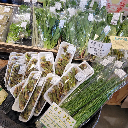 ☆5月6日☆とかちむらへ行こう!☆