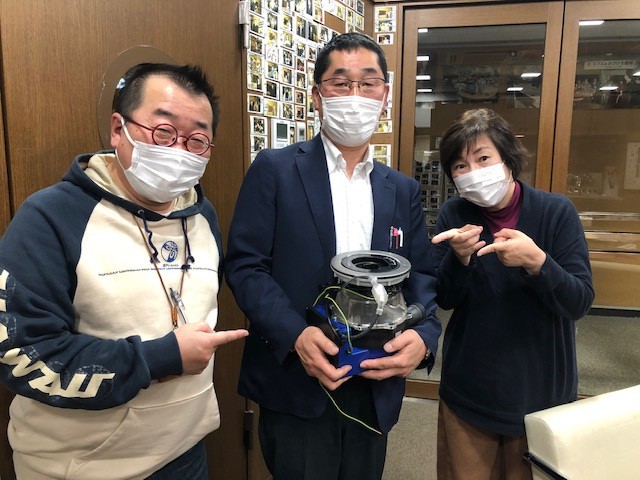 11/7~今週のインショー!