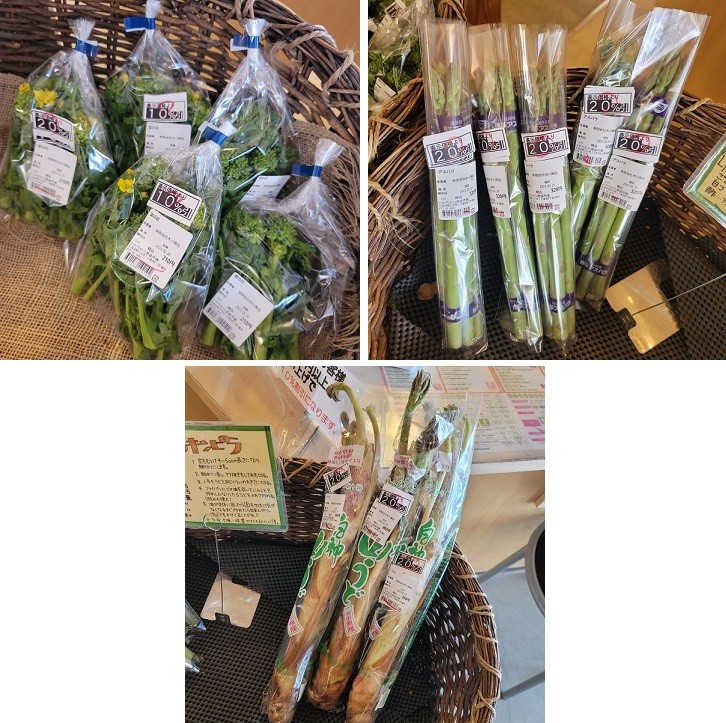 3/3とかちむらへ行こう