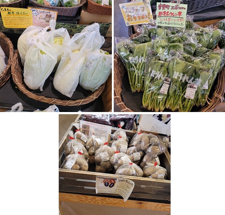 3/3とかちむらへ行こう