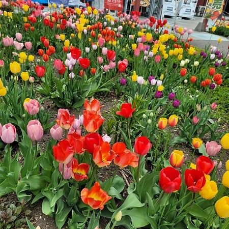 5/12 とかちむらへ行こう!