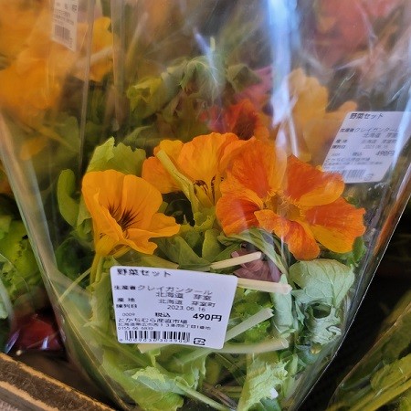 6/16 とかちむらへ行こう!