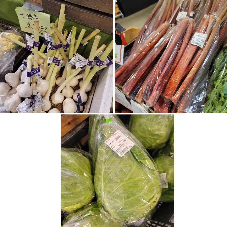 6/30 とかちむらへ行こう!