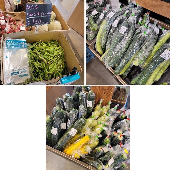 7/14 とかちむらへ行こう!