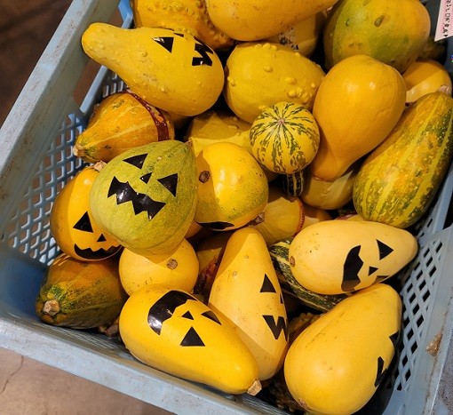 10/6 とかちむらへ行こう!