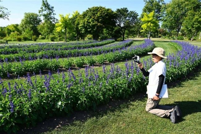 【7月16日放送】十勝ヒルズヘッドガーデナー高田玲子さん