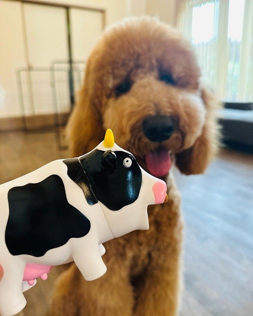 1/27ハンドメイド作家で獣医師の佐藤瑠美さん⑤